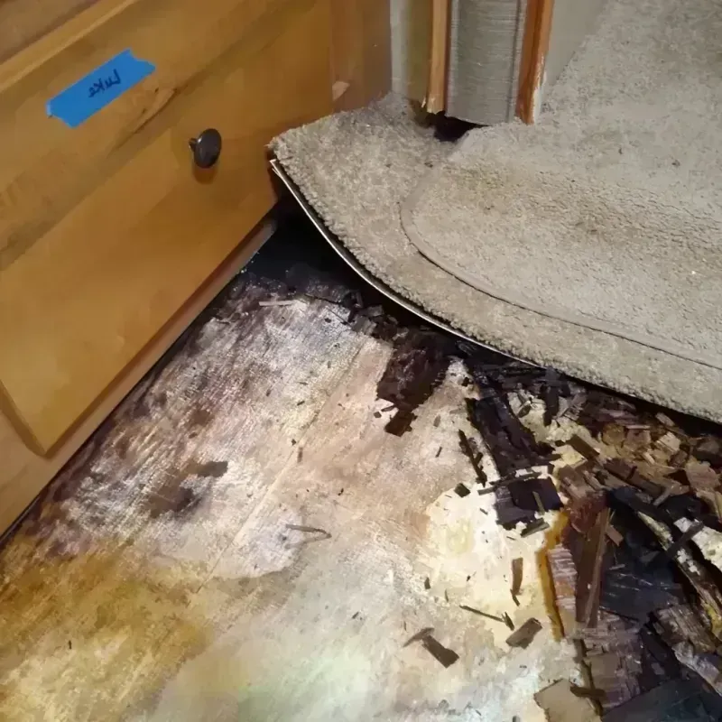 Wood Floor Water Damage in La Porte City, IA